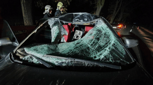 Zderzenie osobówki z jeleniem  - grafika