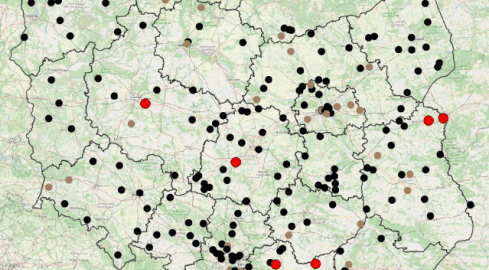 Interaktywna mapa wypadków drogowych  - grafika