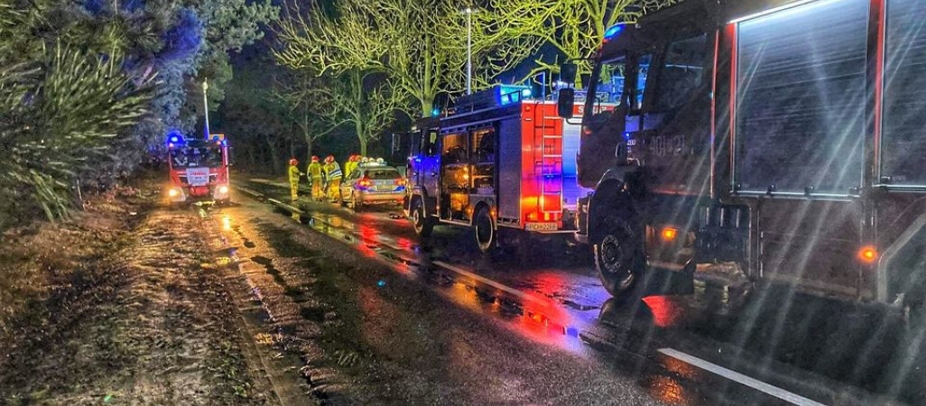 Samochód wjechał w drzewo. Matka z 5-letnią córką w szpitalu