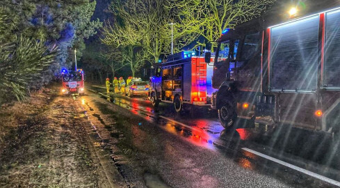 Samochód wjechał w drzewo. Matka z 5-letnią córką w szpitalu  - grafika