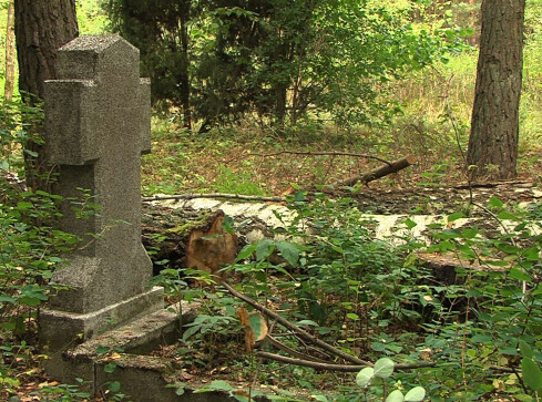 Ewangelicki cmentarz odzyska blask  - grafika