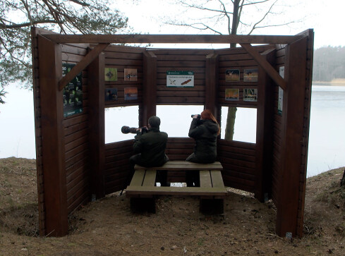 Zalew Grudniański z wiatą ornitologiczną - grafika