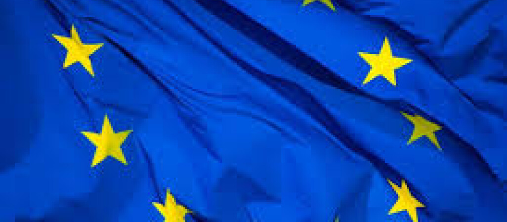 Znamy oficjalne wyniki wyborów do Parlamentu Europejskiego. Z Wielkopolski będzie 5 europosłów