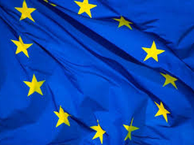 Znamy oficjalne wyniki wyborów do Parlamentu Europejskiego. Z Wielkop - grafika