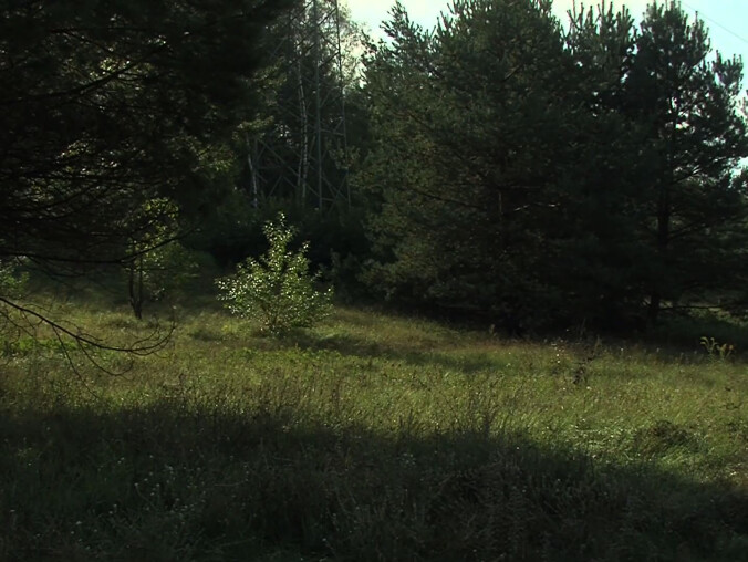 Wieża telekomunikacyjna nie powstanie na pilskim Podlasiu? - grafika