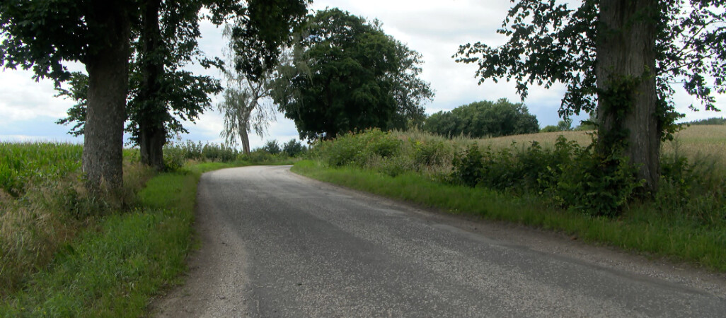 Powiat złotowski sięga po pieniądze z Funduszu Leśnego