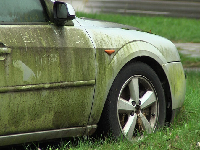 Porzucone auta w Pile  - grafika