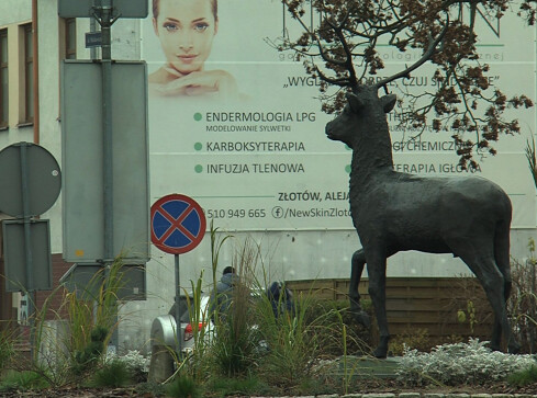 Obchody 650-lecia Złotowa już w przyszłym roku - grafika