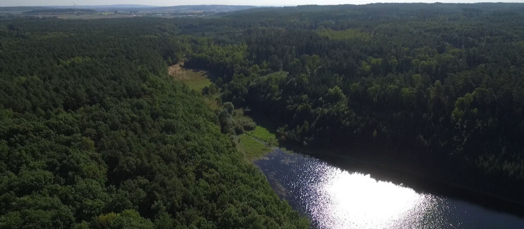 "Czeka nas inwazja kleszczy"