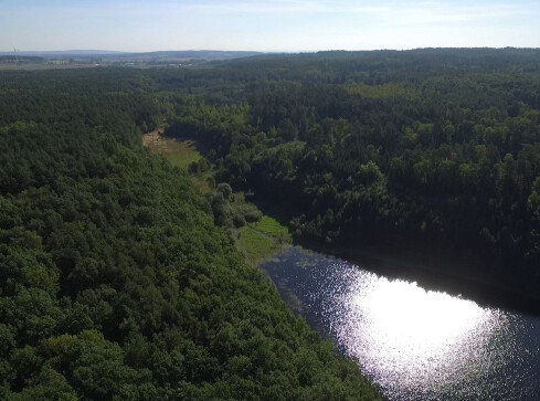 "Czeka nas inwazja kleszczy" - grafika