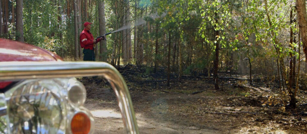 Sucho w lasach. Nieuwaga może skutkować pożarem