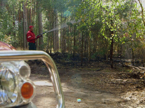 Sucho w lasach. Nieuwaga może skutkować pożarem  - grafika