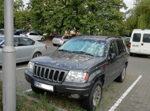 Ale niefortunnie zaparkował...  - grafika