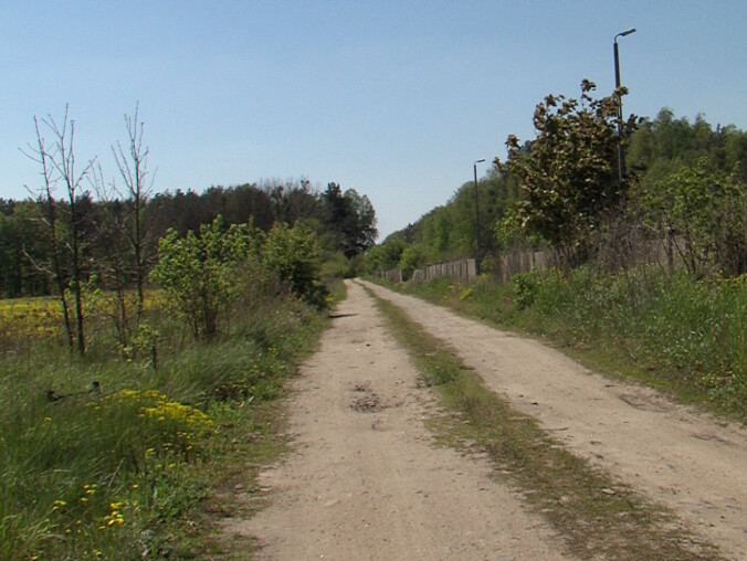 Powstanie tzw. mała obwodnica Trzcianki - grafika