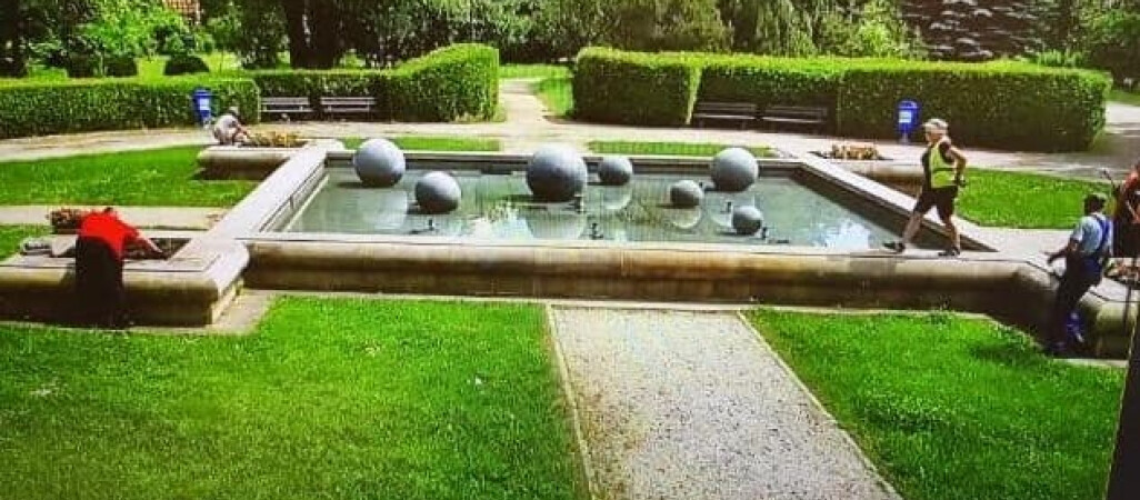 Park Miejski otwarty. Dziki zostały wyłapane