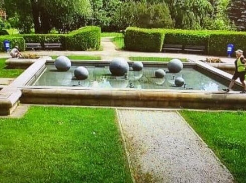 Park Miejski otwarty. Dziki zostały wyłapane  - grafika