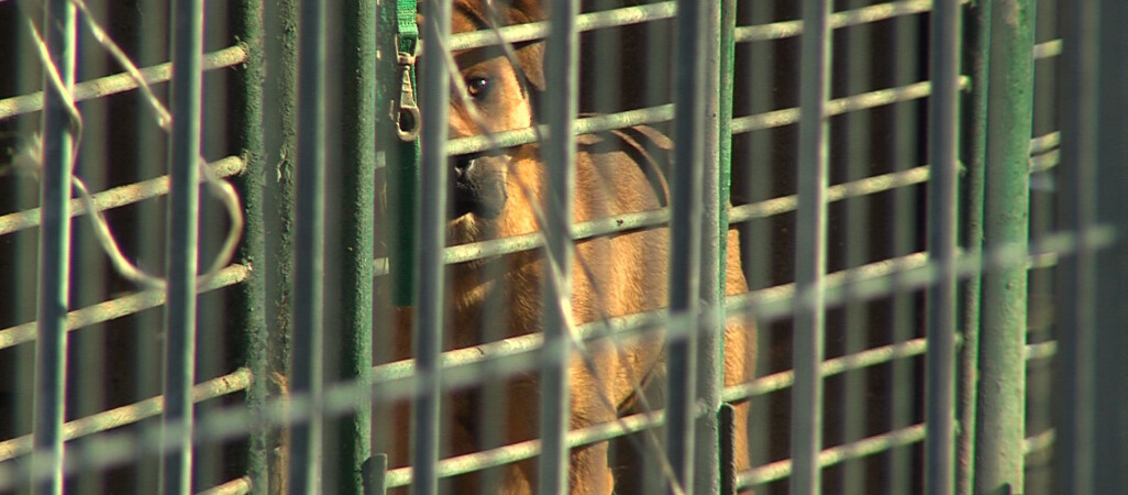 NIK wytyka błędy samorządom