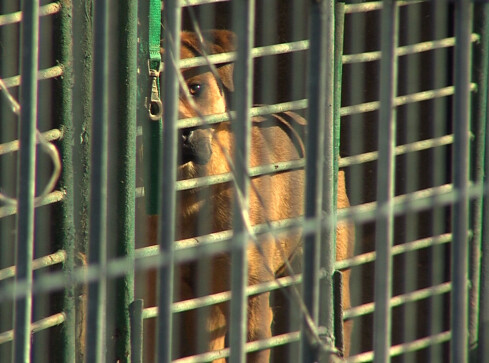 NIK wytyka błędy samorządom - grafika