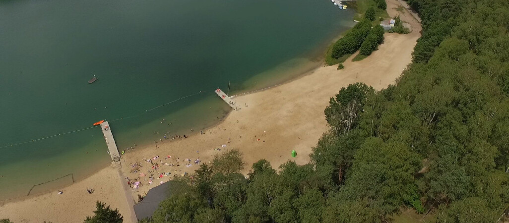 Płotki  nikną w oczach. Jest plan ratunkowy