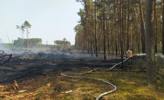 Pożary lasów w powiecie czarnkowsko-trzcianeckim