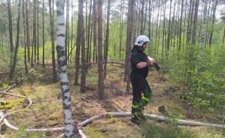 Pożary lasów w powiecie czarnkowsko-trzcianeckim