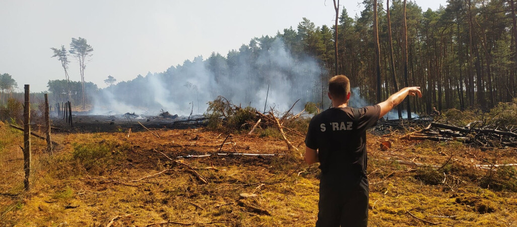 Pożary lasów w powiecie czarnkowsko-trzcianeckim