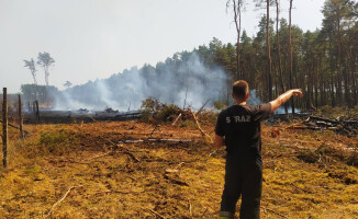 Pożary lasów w powiecie czarnkowsko-trzcianeckim