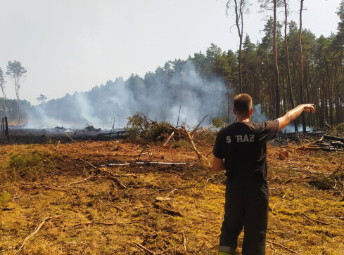 Pożary lasów w powiecie czarnkowsko-trzcianeckim - grafika