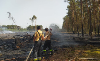 Pożary lasów w powiecie czarnkowsko-trzcianeckim