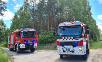 Pożar lasu w gminie Margonin. Spłonęło 0,5 hektara lasu