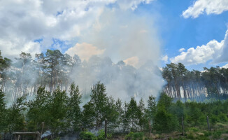 Pożar lasu w gminie Margonin. Spłonęło 0,5 hektara lasu