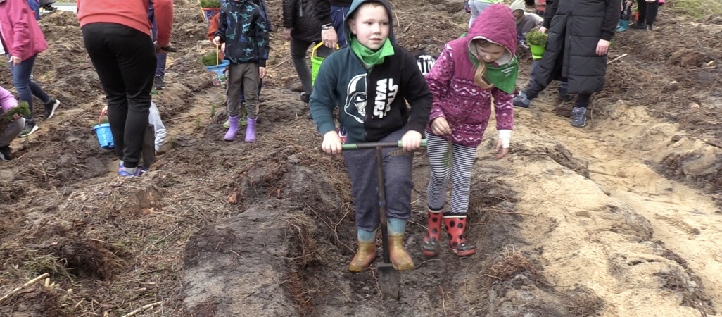 Przedszkolaki sadziły las