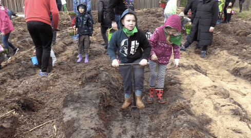 Przedszkolaki sadziły las - grafika