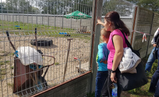 Schronisko Miluszków pełne odwiedzających [ZDJĘCIA]