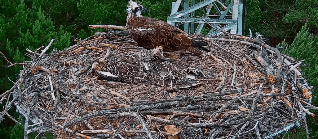Kolejny atak na rybołowy