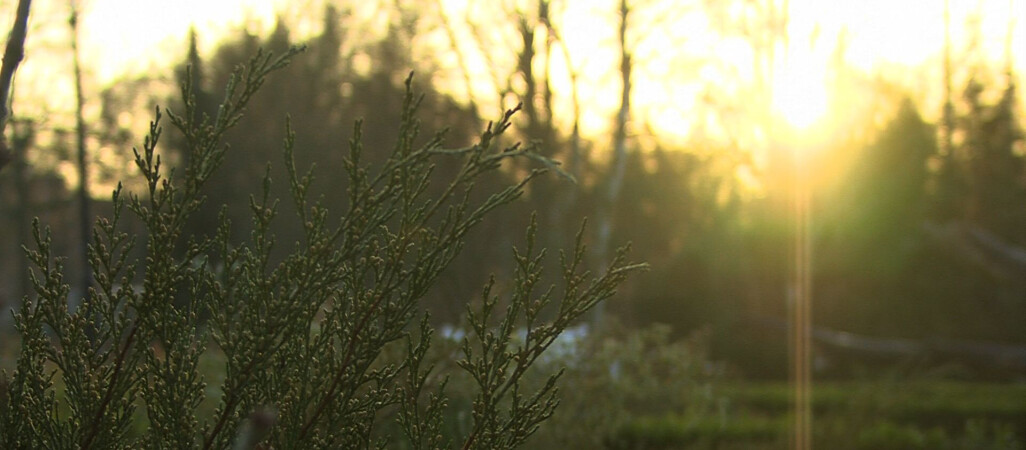 Już jutro najkrótszy dzień w tym roku!