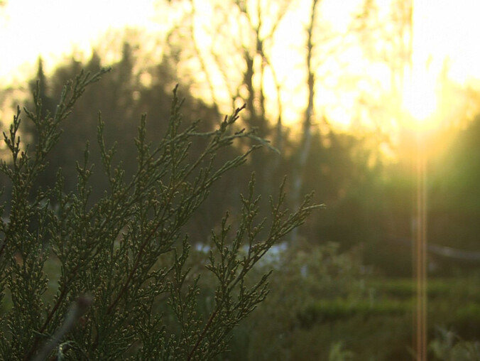 Już jutro najkrótszy dzień w tym roku! - grafika