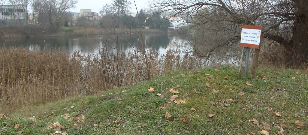 Zatruty staw przy Alei Poznańskiej w Pile