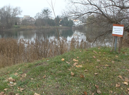 Zatruty staw przy Alei Poznańskiej w Pile - grafika