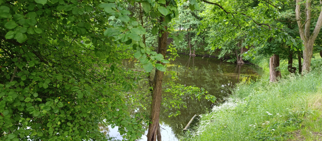 Odnaleziono ciało poszukiwanej pilanki