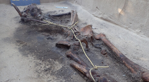 Szczątki niemieckiego lotnika znalezione w gminie Drawsko - grafika