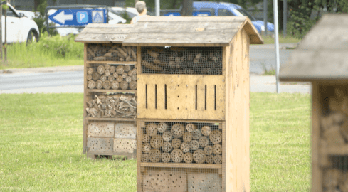 Kolejny mini-park powstanie w Pile - grafika