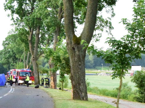 Sprawca śmiertelnego wypadku w areszcie. 23-latek był pijany  - grafika
