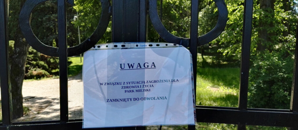 Park Miejski zamknięty. Przebywają w nim dziki 
