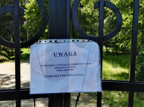 Park Miejski zamknięty. Przebywają w nim dziki  - grafika