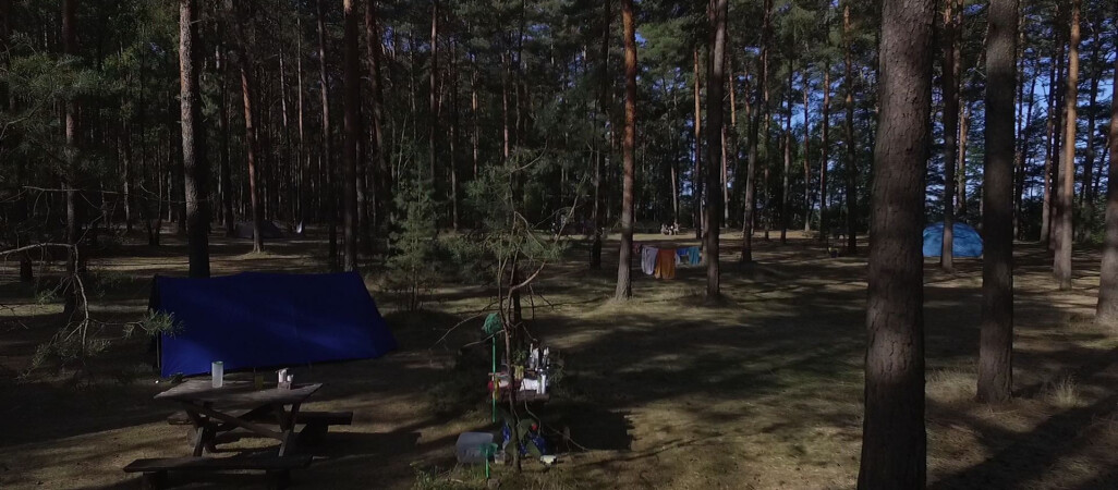 "Zanocuj w lesie" dla miłośników natury