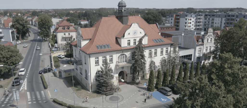 Sprawdzili każde drzewo w mieście