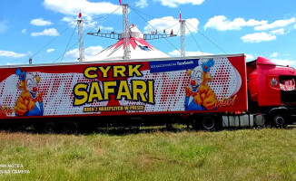 Cyrk Safari w Pile - wygraj bilety