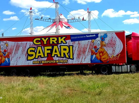 Cyrk Safari - rozstrzygnięcie konkursu - grafika