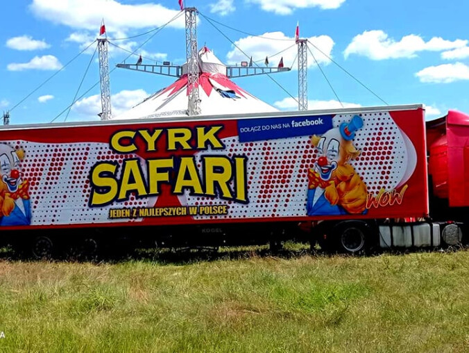 Cyrk Safari - rozstrzygnięcie konkursu - grafika